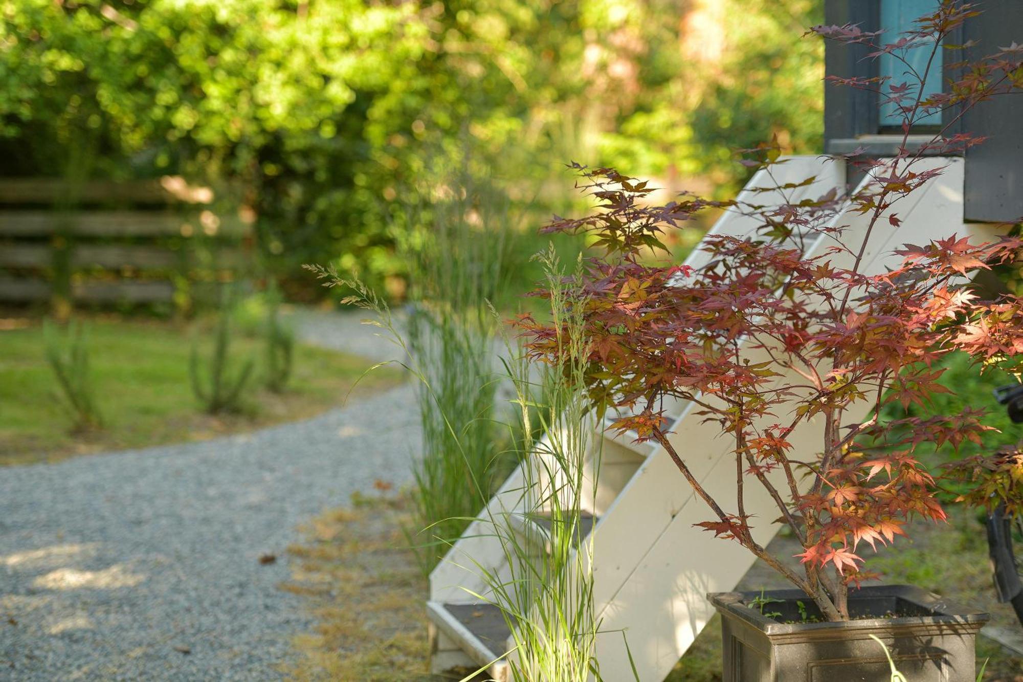 The Bayside Cottage North Saanich エクステリア 写真
